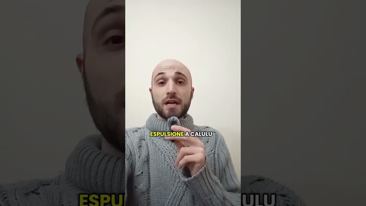 INTER 3 JUVENTUS 2: PARTITA FALSATA!